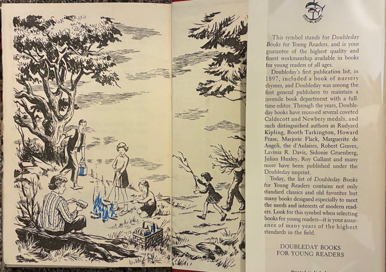 The Happy Hollisters Book Lot: Trading Post Old Clipper Ship Golden Witch HC VG+