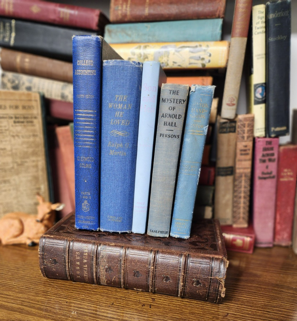 Lot of 5 BLUE / Shades of blue Old Vintage Antique Rare Hardcover Random Books