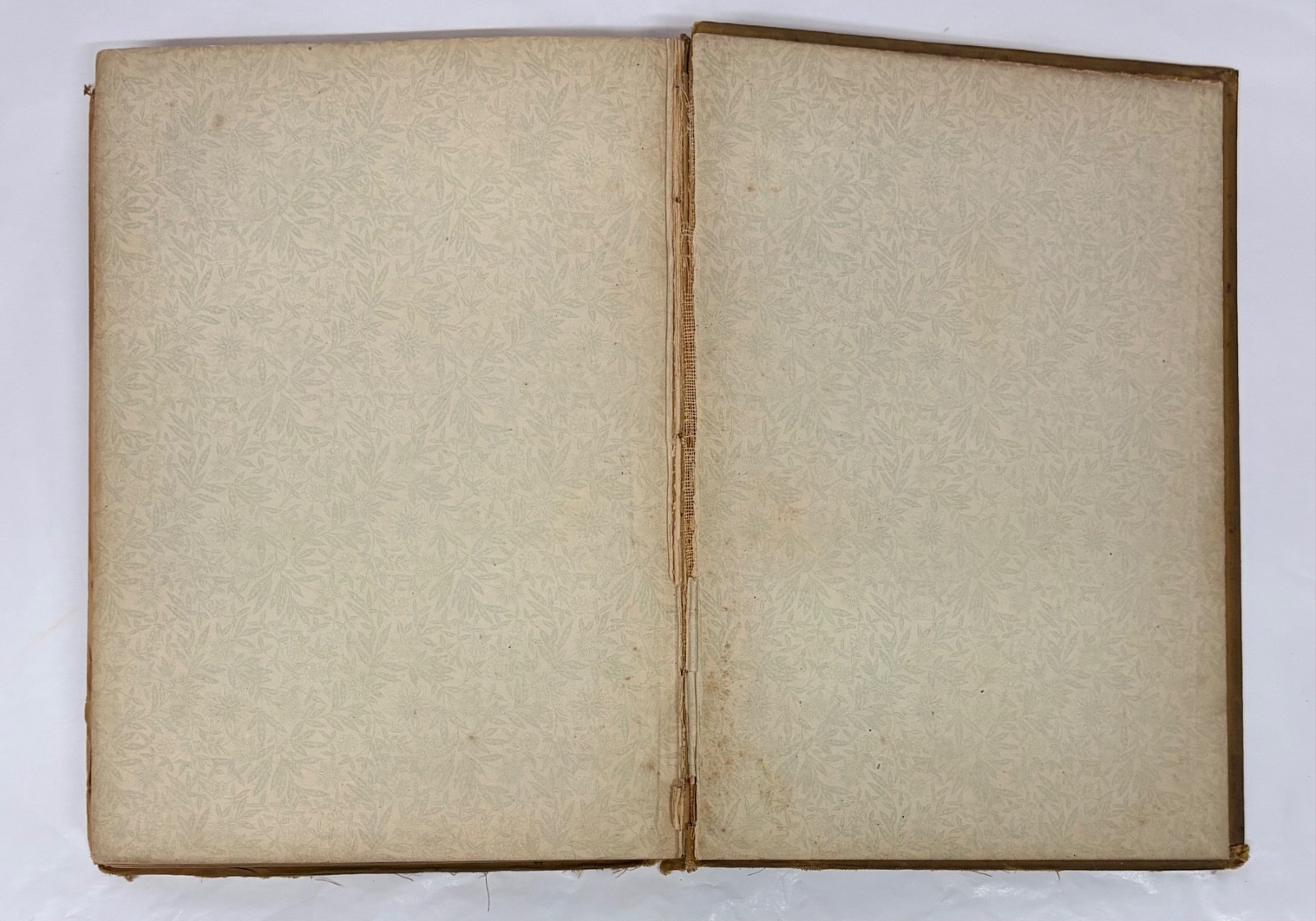 Wonders Of The Universe 1st Edition Book 1885 Science Astrology
