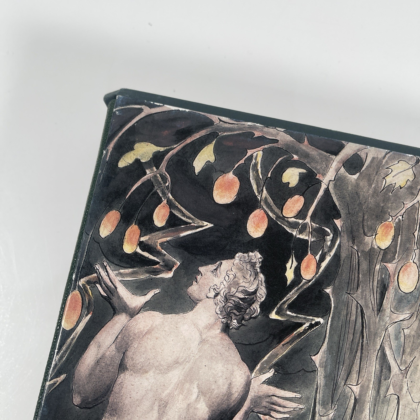 Folio Society – Paradise Lost – John Milton – Illustrated William Blake 2004 3rd