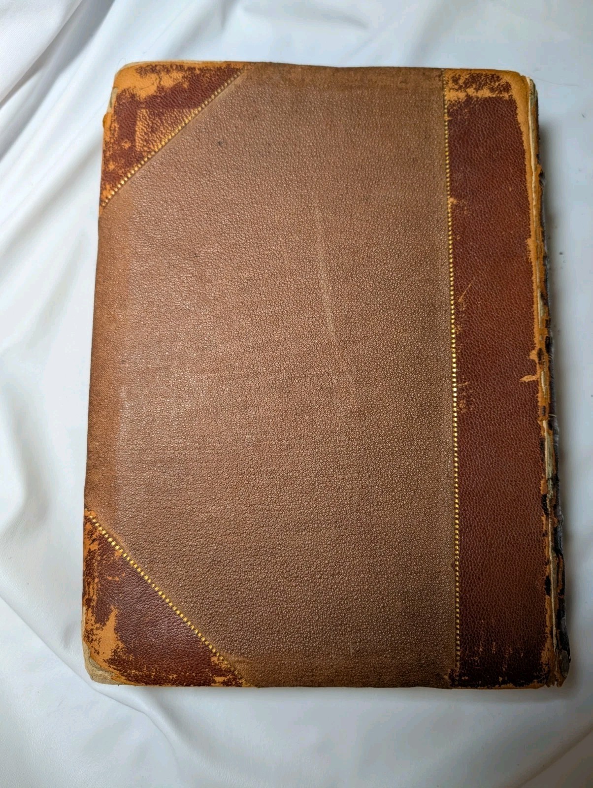 Antique Native Flowers and Ferns by Thomas Meehan 1878 Vol 1, Chromolithographs