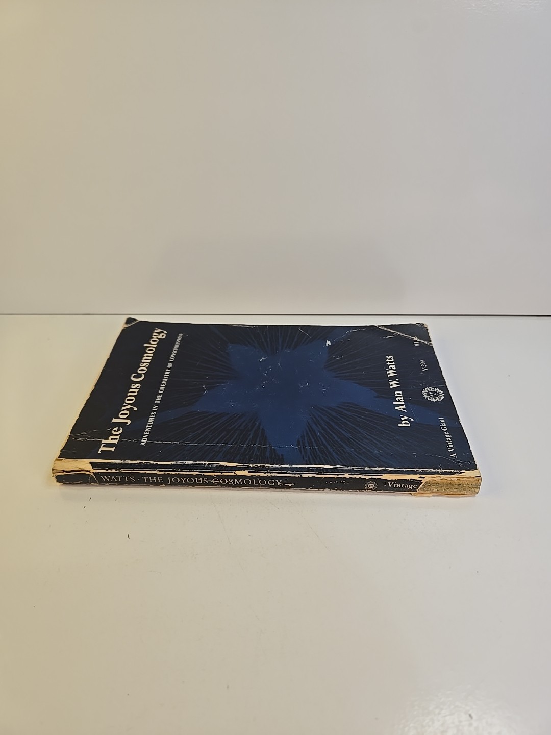 The Joyous Cosmology by Alan W. Watts 1962 Trade Paperback LSD. G-319
