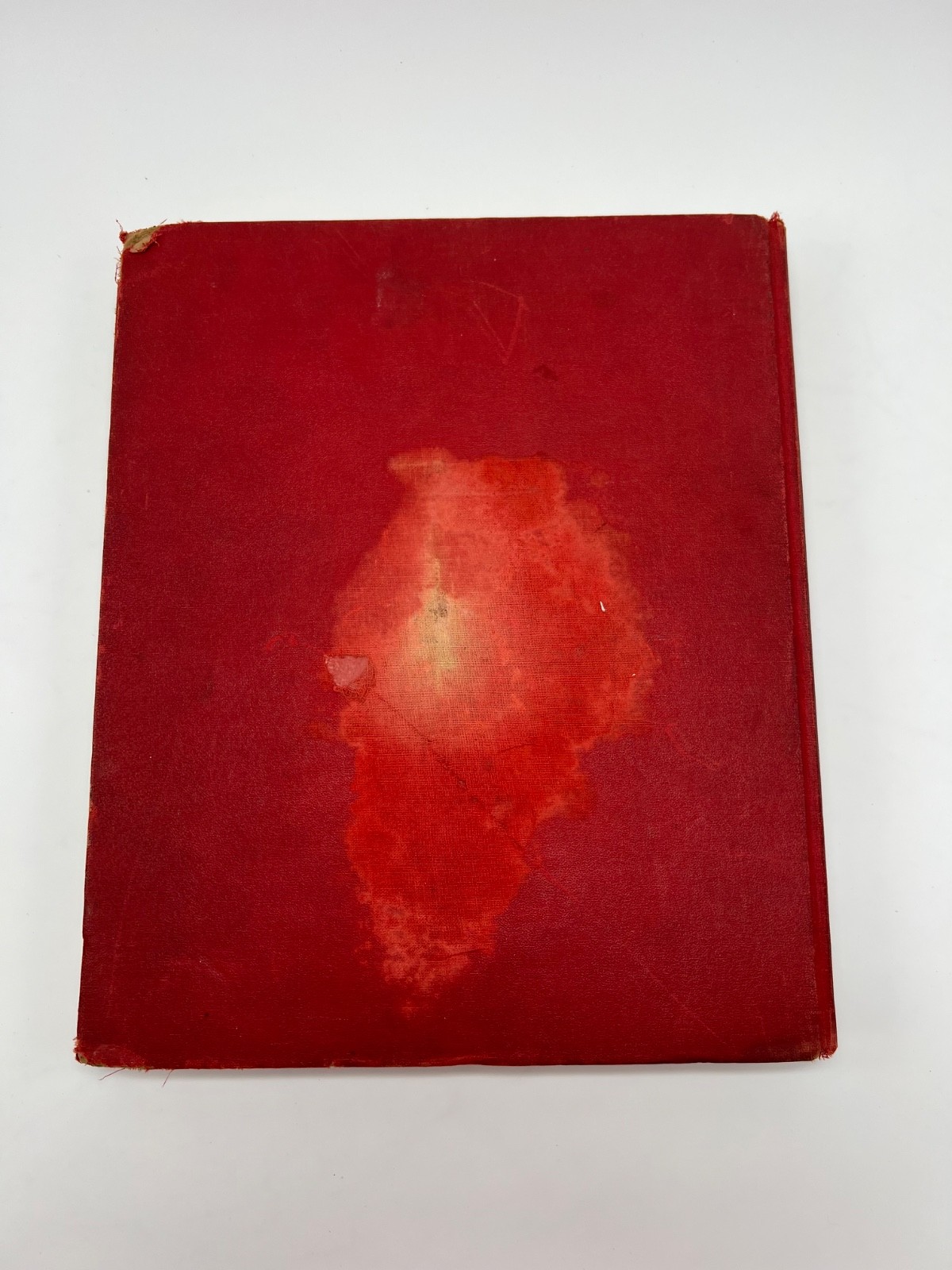 Modern Postage Stamp Album Illustrated Book 1930 Scott Stamp & Coin With Stamps