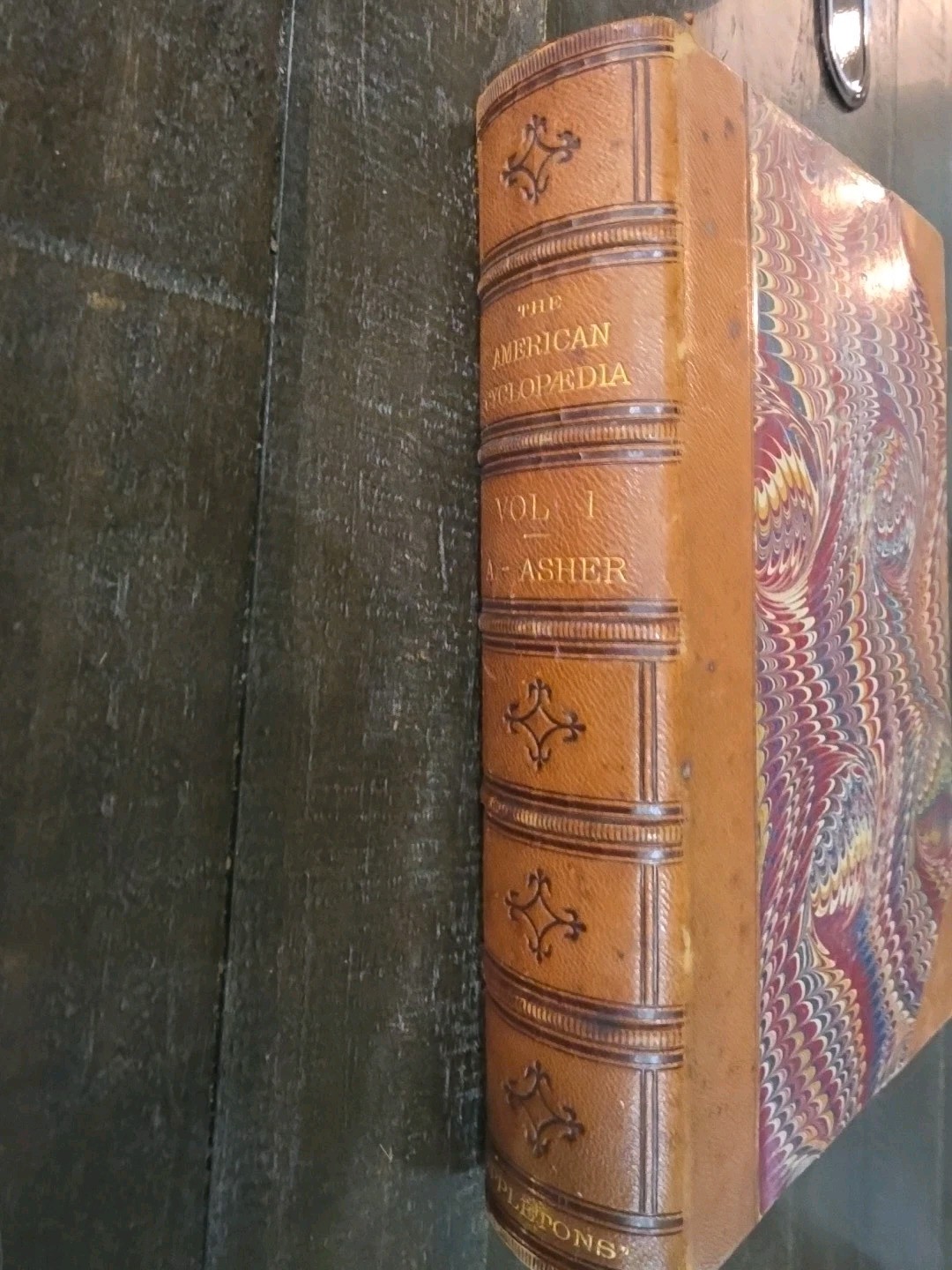 American Cyclopedia 1873 vol 1-11 Antique Good Condition Collectible Historic