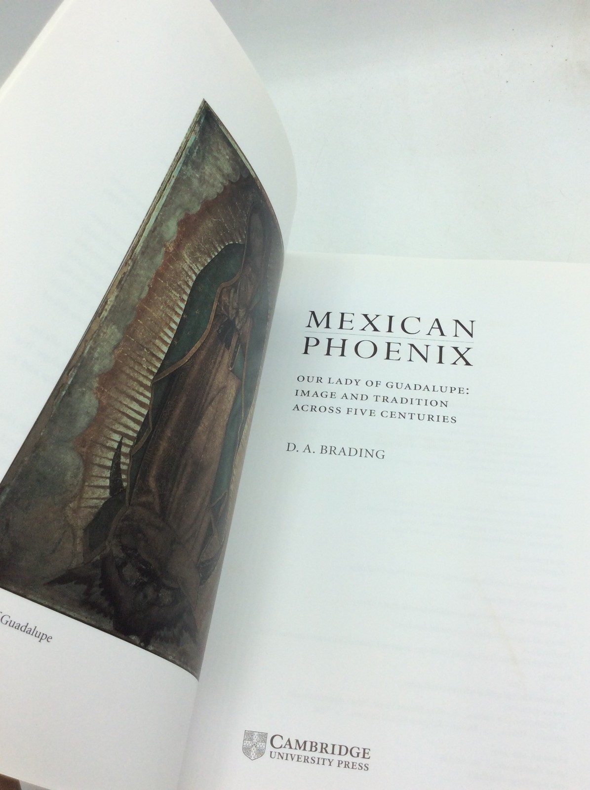 MEXICAN PHOENIX – D.A. Brading – 2002 – illustrated Catholic Mary