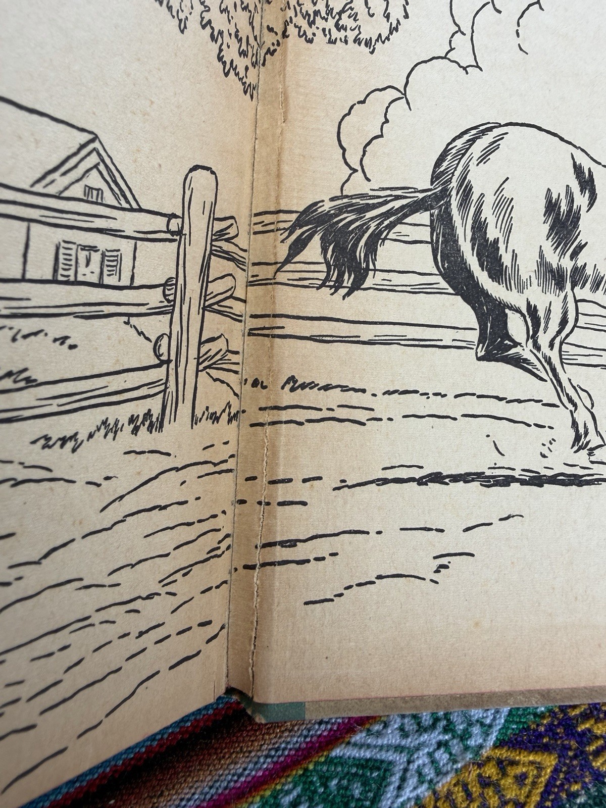 Black Beauty by Anna Sewell (1938, HC) Illustrated Vintage Book