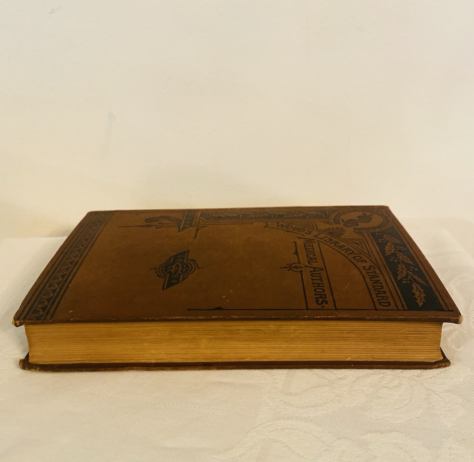 Wood’s Library Of Standard Medical Authors 1881 Diseases Of The Eye 360 Pages