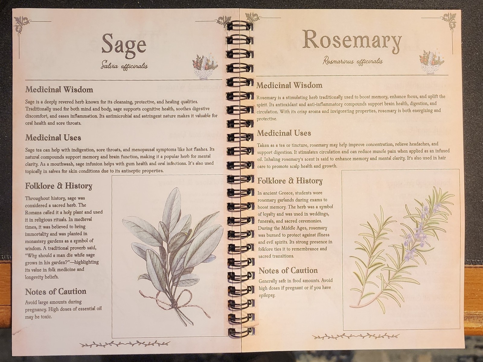 ANCIENT REMEDIES THE NATURAL HEALING HANDBOOK SC SPIRAL 2026 EDITION