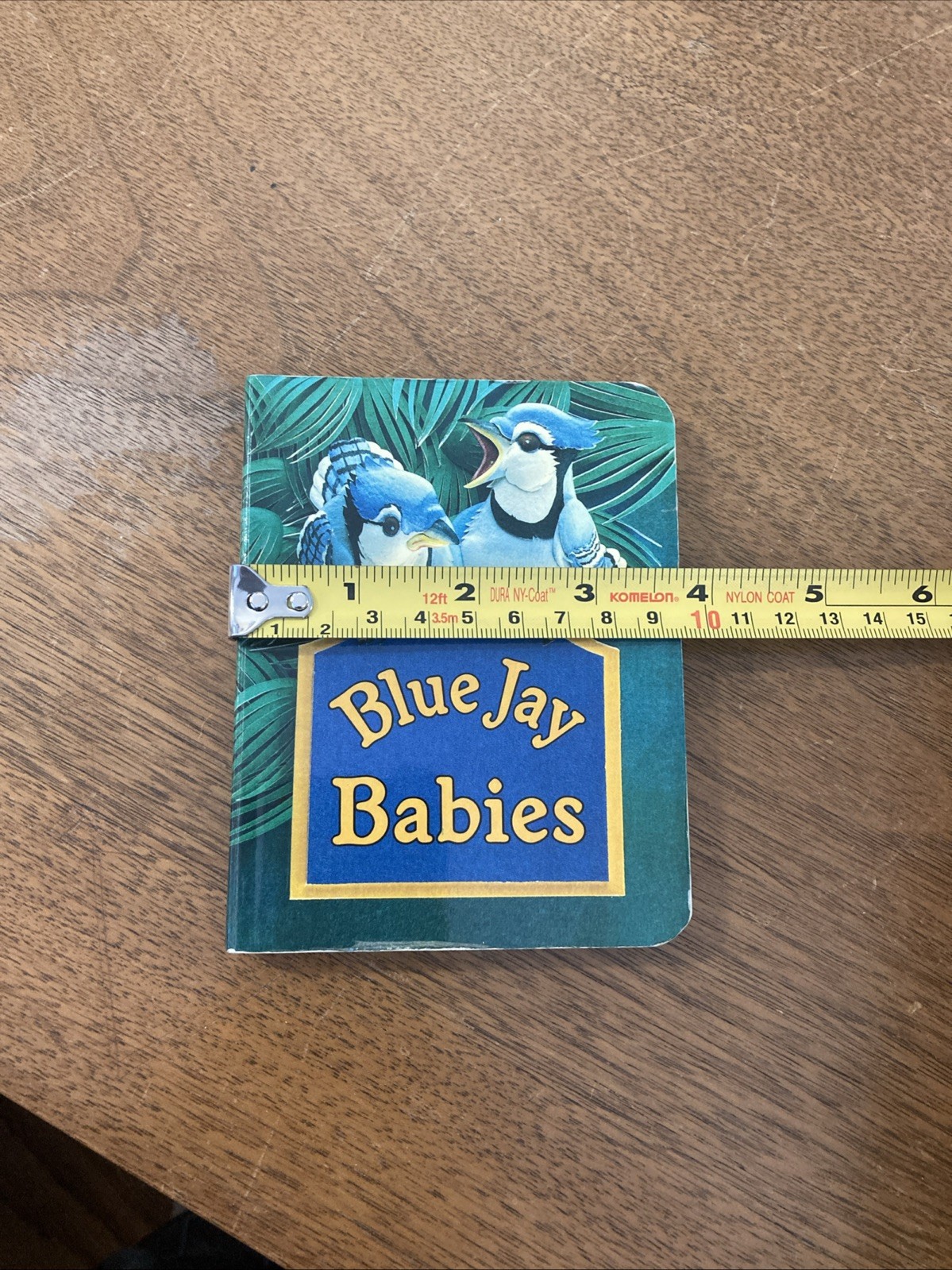 Blue Jay Babies Vintage Children’s Board Book National Geographic 1991