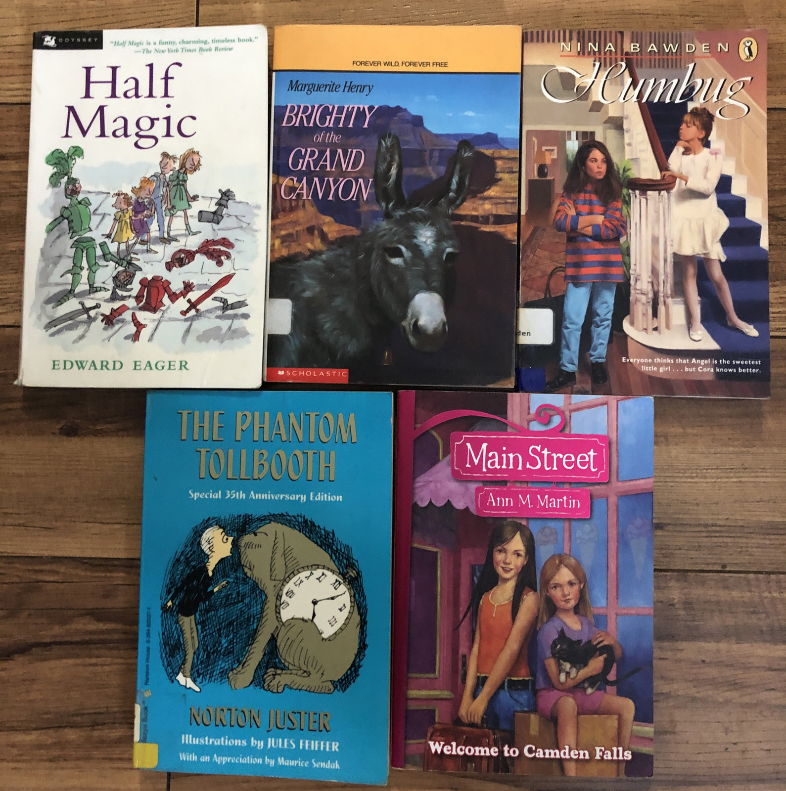 Lot of 20 Chapter Children Young YOUTH RANDOM UNSORTED BOOKS MIX Exlib