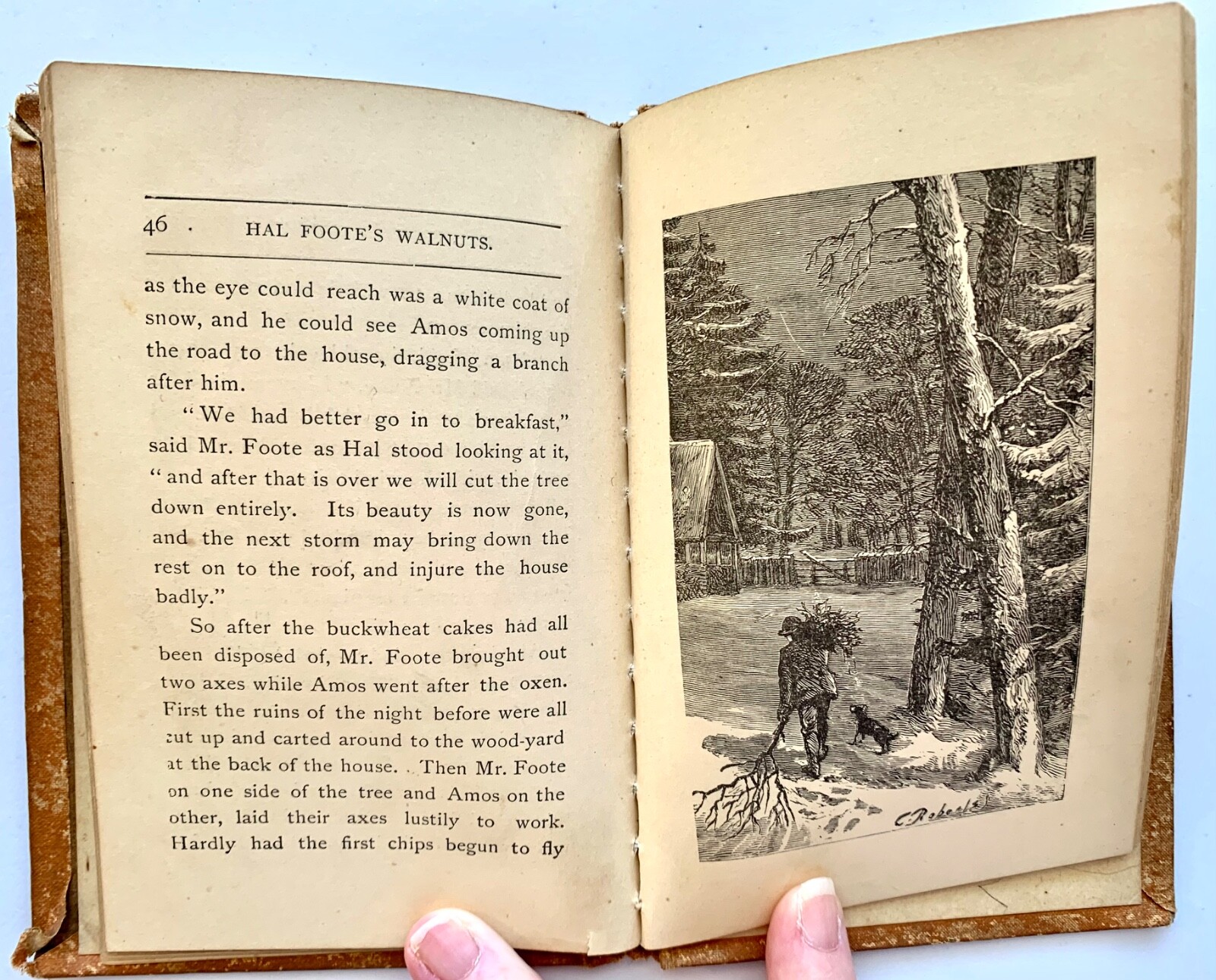 HAL FOOTE’S WALNUTS – Dodd, Mead, & Co. [1878] Antique Children’s – Hard to Find