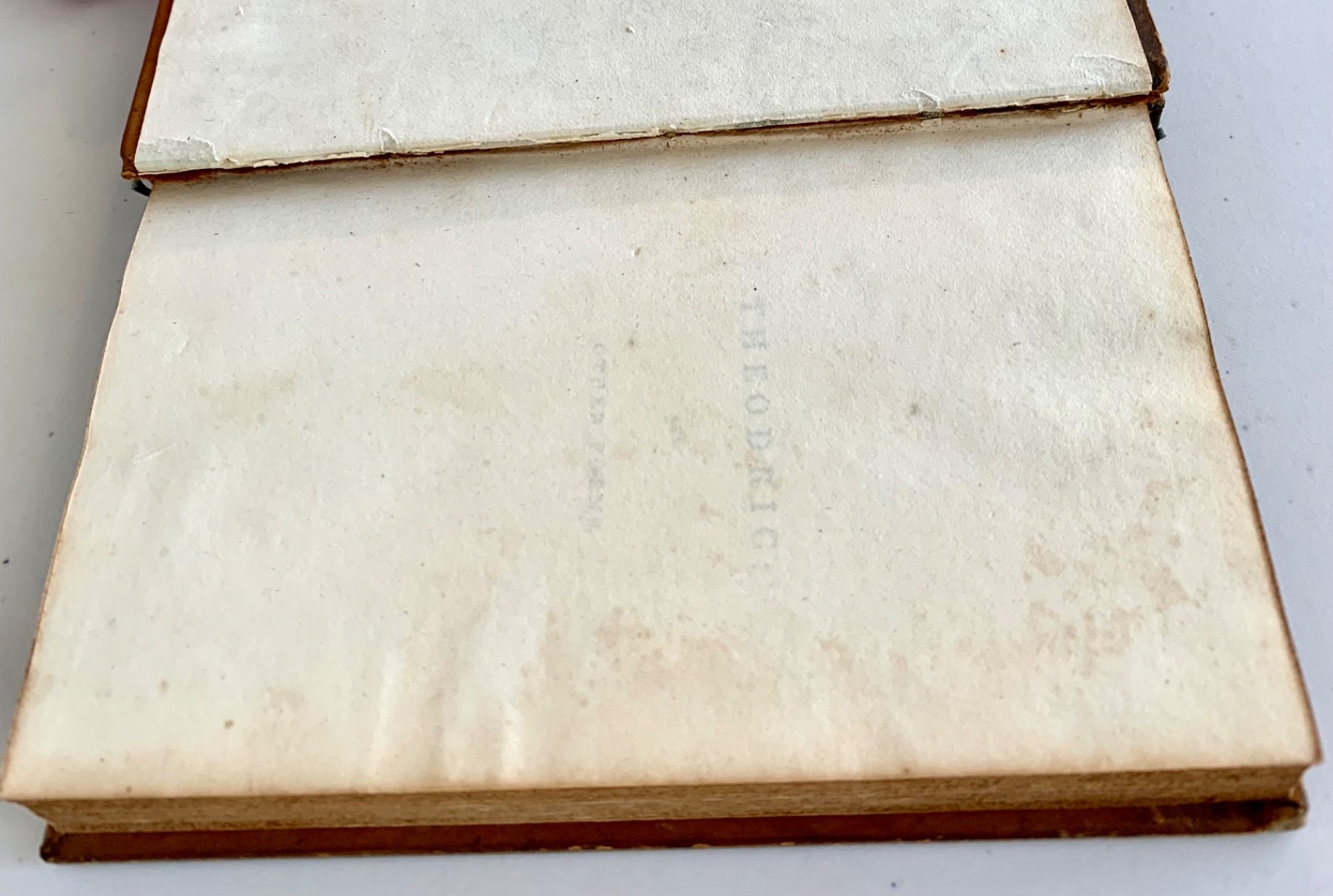 THEODRIC (1824) & PLEASURES OF HOPE (1825) by Thomas Campbell – Fine binding