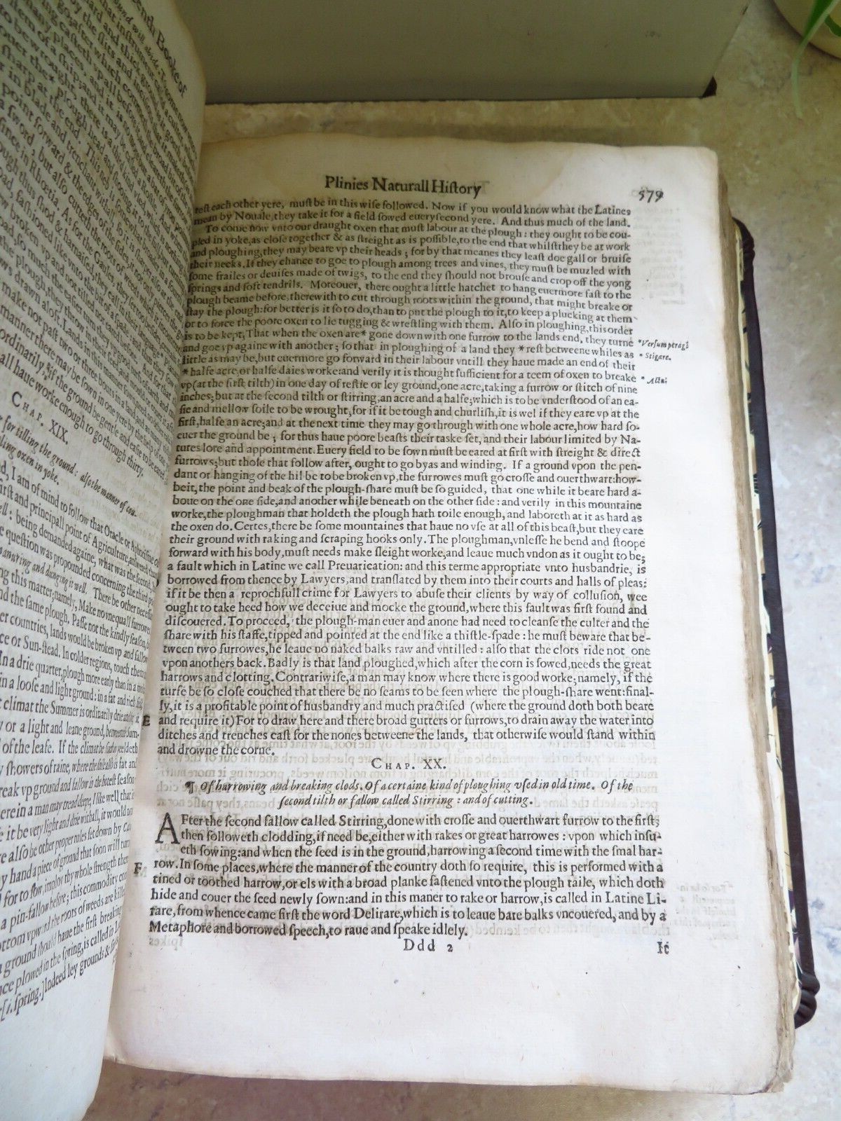 1634 PLINY the ELDER – NATURAL HISTORY 2 VOLS Histoire Naturale Pub ADAM ISLIP
