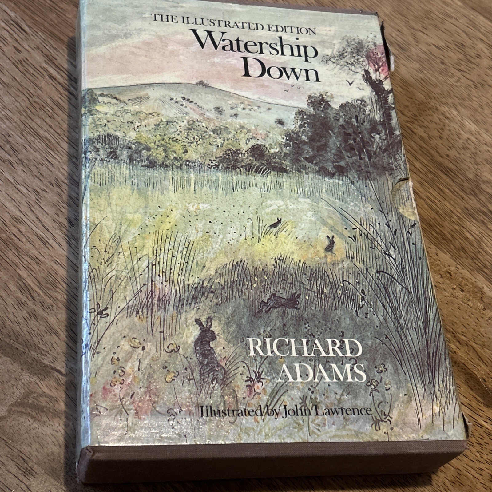 Watership Down Illustrated Edition 1978 Slip Case Dust Jacket Map Richard Adams