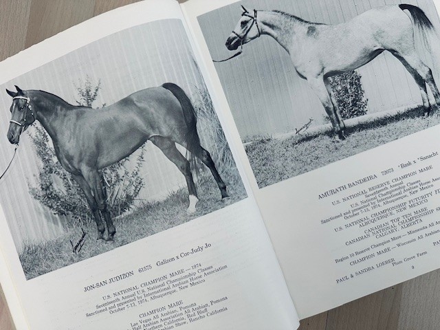 Arabian Horse Yearbook 1974 IAHA Vol XXll Arabian Horse Books / Memorabilia