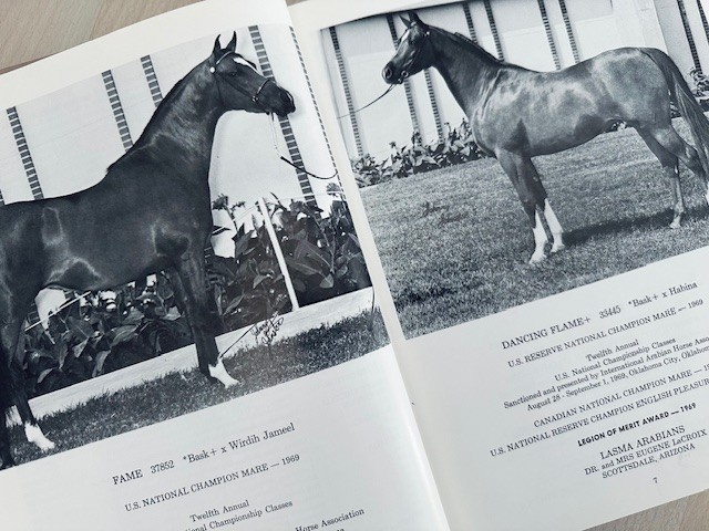 Arabian Horse Yearbook 1969 IAHA Vol XVll Arabian Horse Books / Memorabilia
