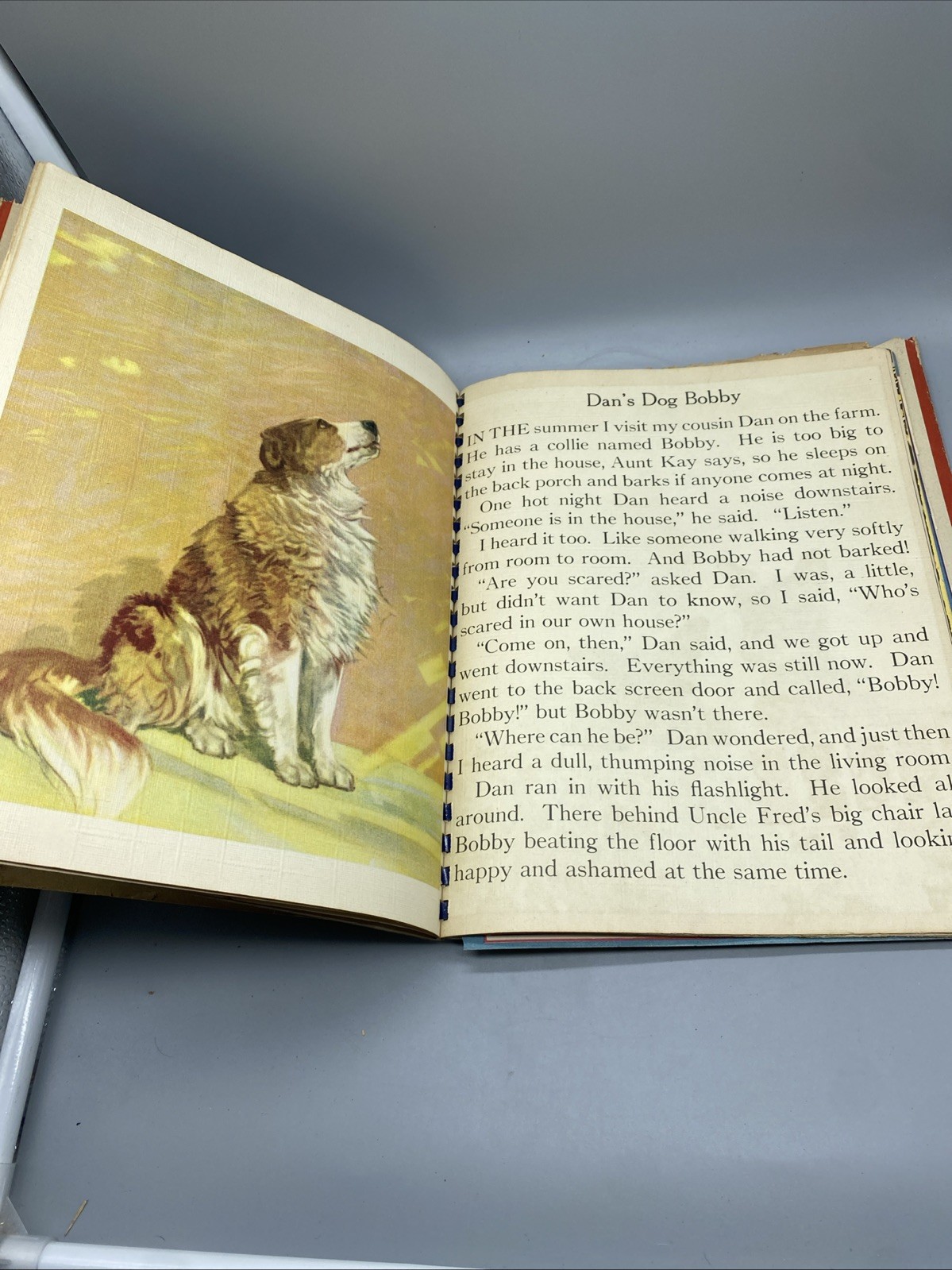 Picture Story Book 1943 Saalfield Various Animals HC DJ Spiral Beautiful Artwork