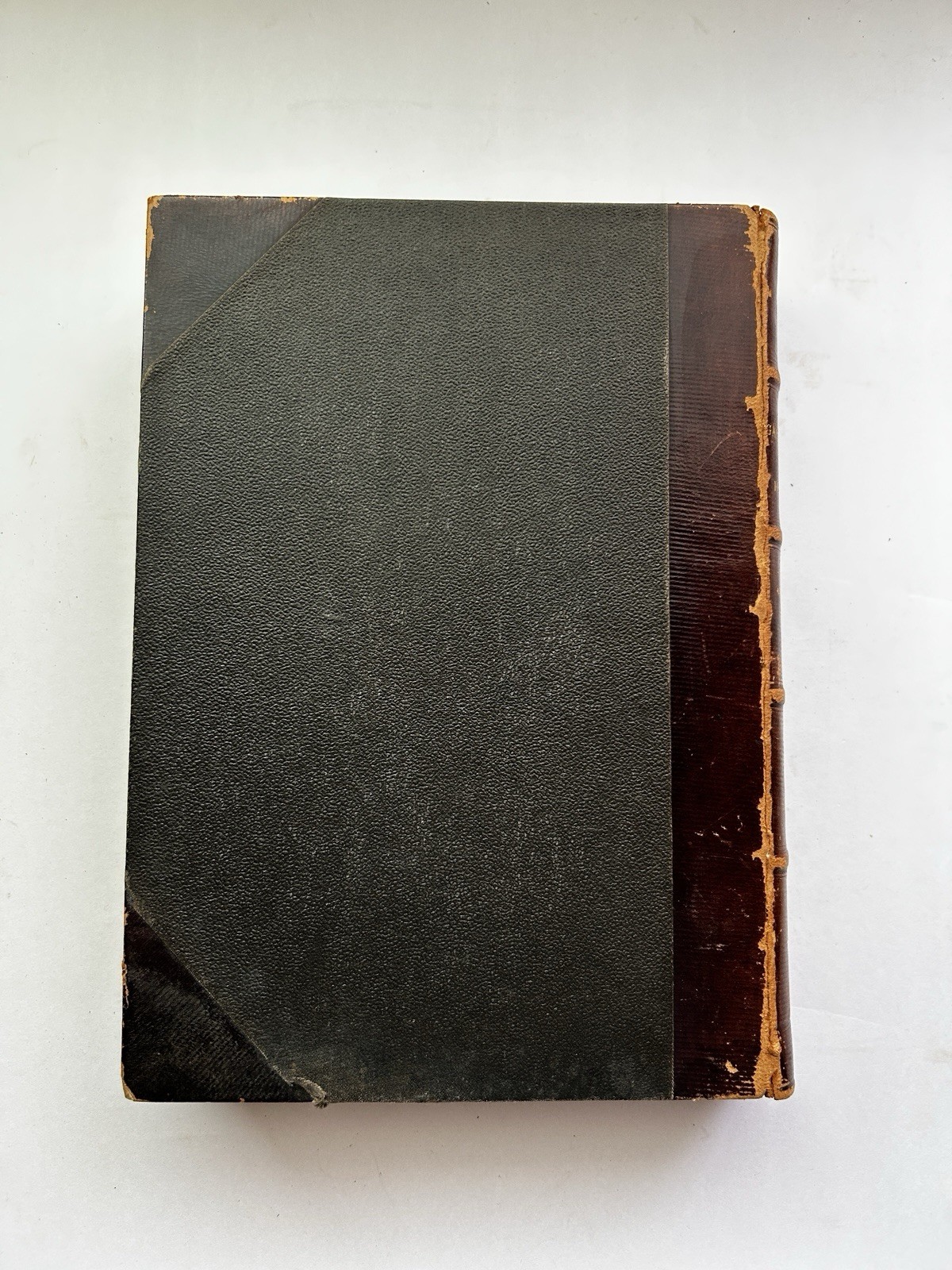 1884 – 86 The Gardeners’ Monthly & Horticulturist Thomas Meehan 23 Issues Bound