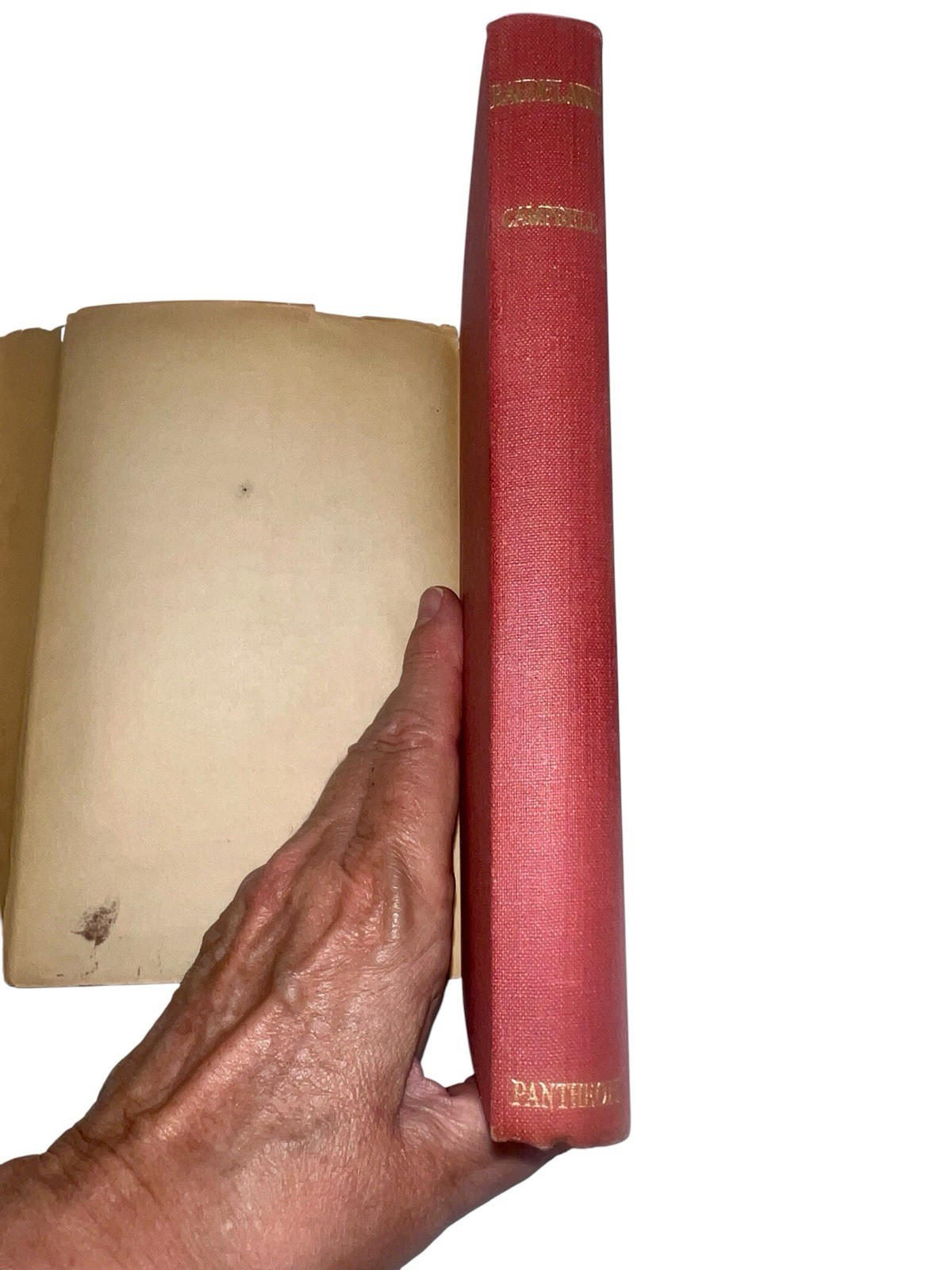FLOWERS OF EVIL Baudelaire Les Fleurs du Mal 1st Ed Eng Trans Roy Campbell 1953