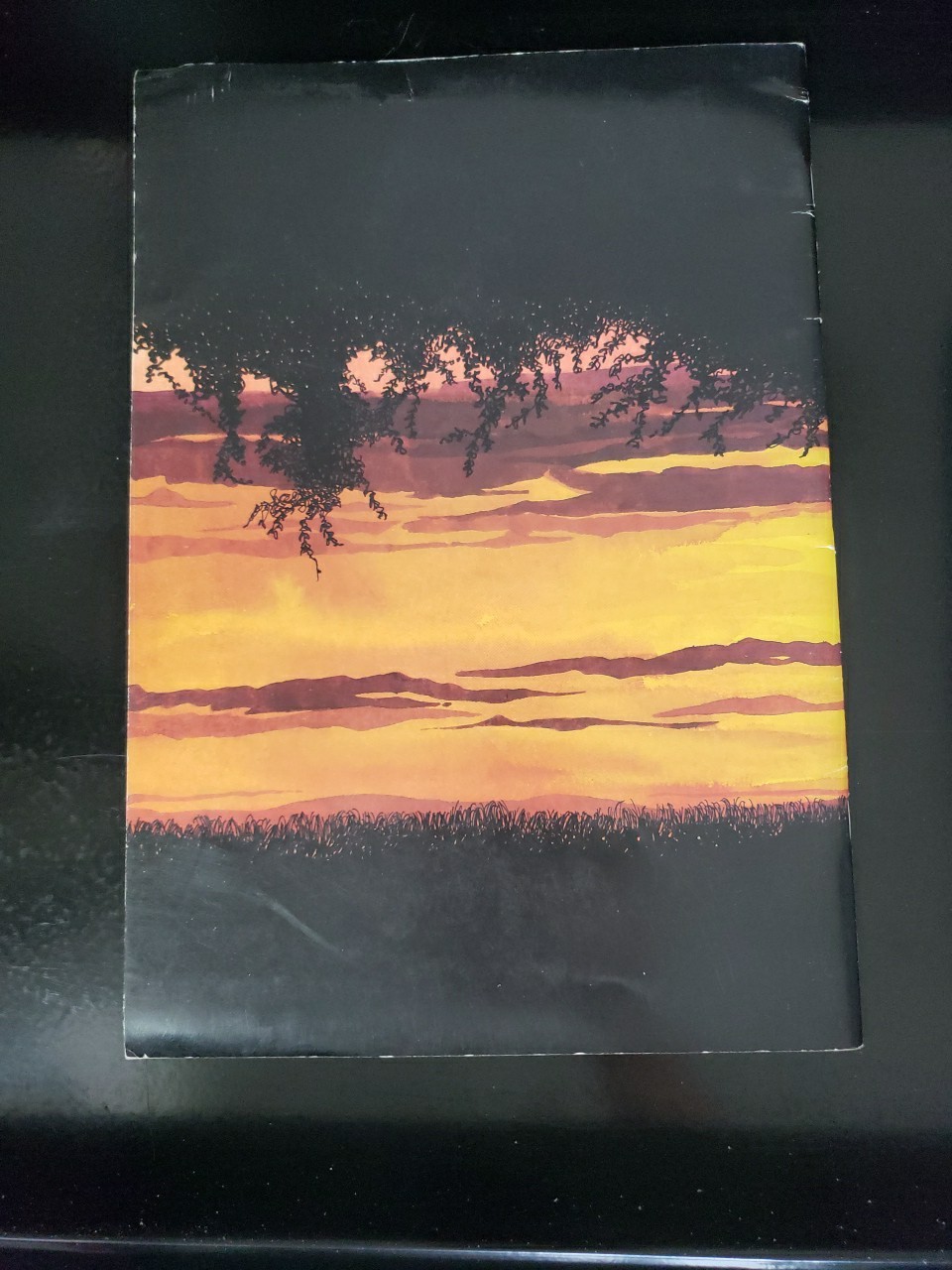 Joseph Allamano: The Great Adventure – Graphic novel by Consolata Society