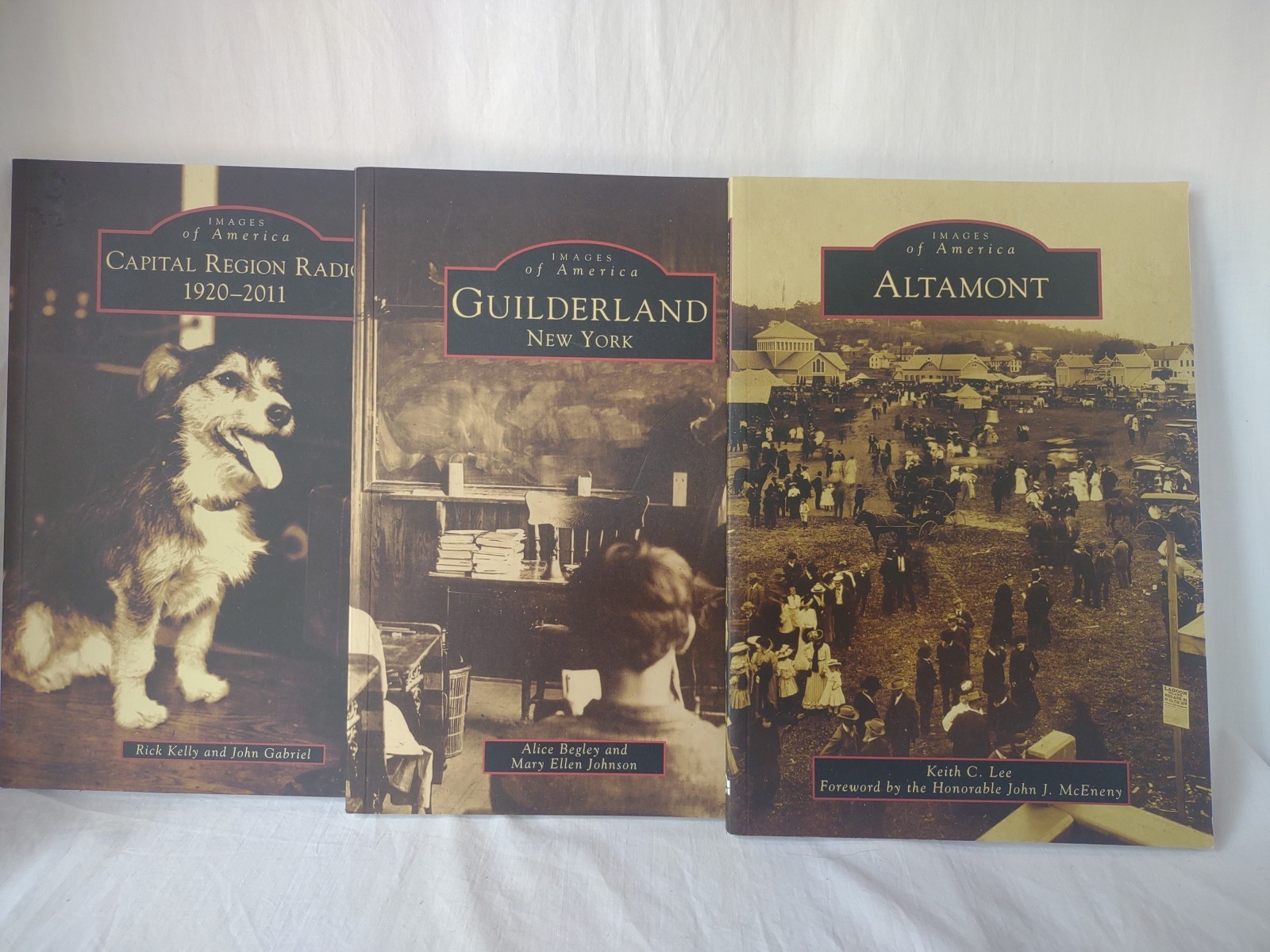 Lot of 3 Upstate New York History Books Guilderland Altamont Capital Region NY