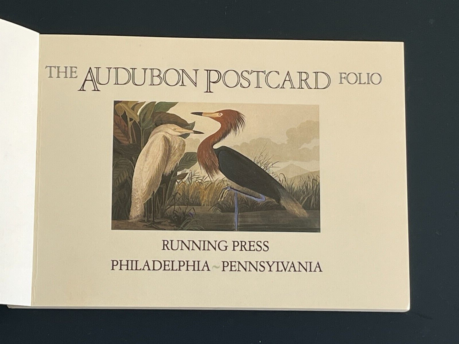 THE AUDUBON POSTCARD FOLIO 30 PHOTOGRAPHS RUNNING PRESS “NEW” FROM 1986 EX COND