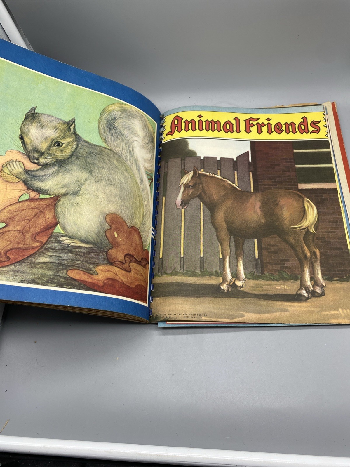 Picture Story Book 1943 Saalfield Various Animals HC DJ Spiral Beautiful Artwork