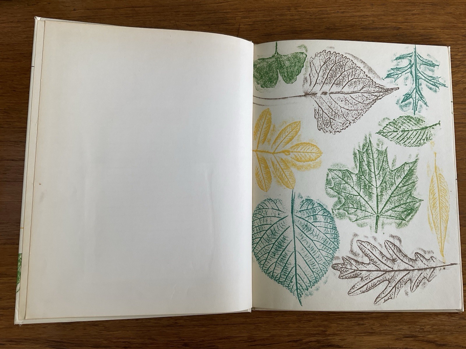 I found a leaf~Sharon Lerner~c1964~3rd ptg 1967~Lerner Publications~HB~36 pages