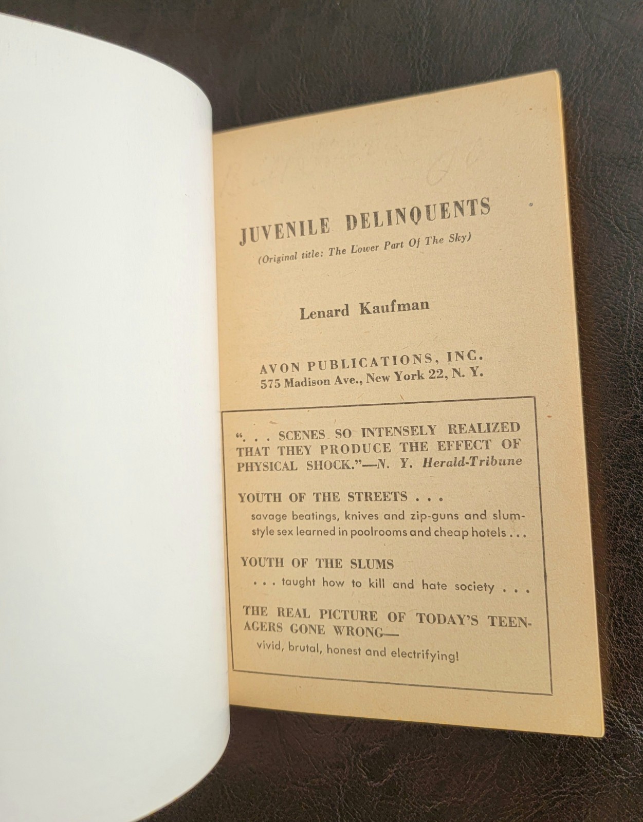 Juvenile Delinquents Lenard Kaufman Avon T-217 1958 Classic JD GGA cover art