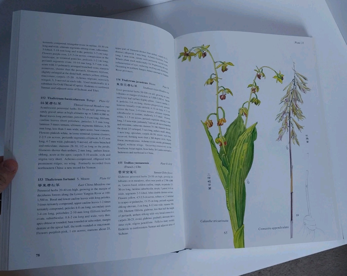 *Rare* Wild Flowers Of Yunnan And Central China By Walden & Hu 2000 HC