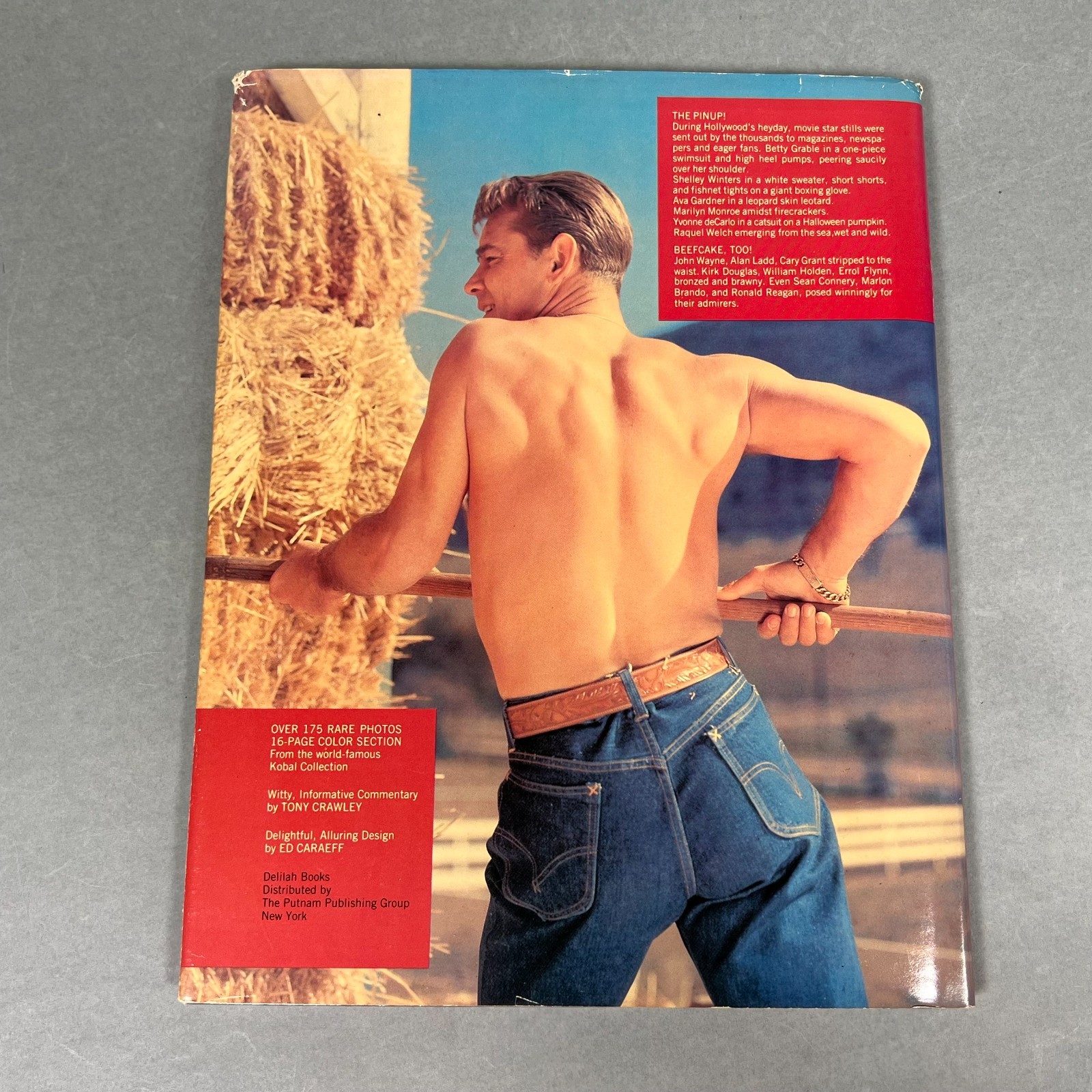 Screen Dreams The Hollywood Pinup Kobal Collection Photos 1ST Printing HARDCOVER
