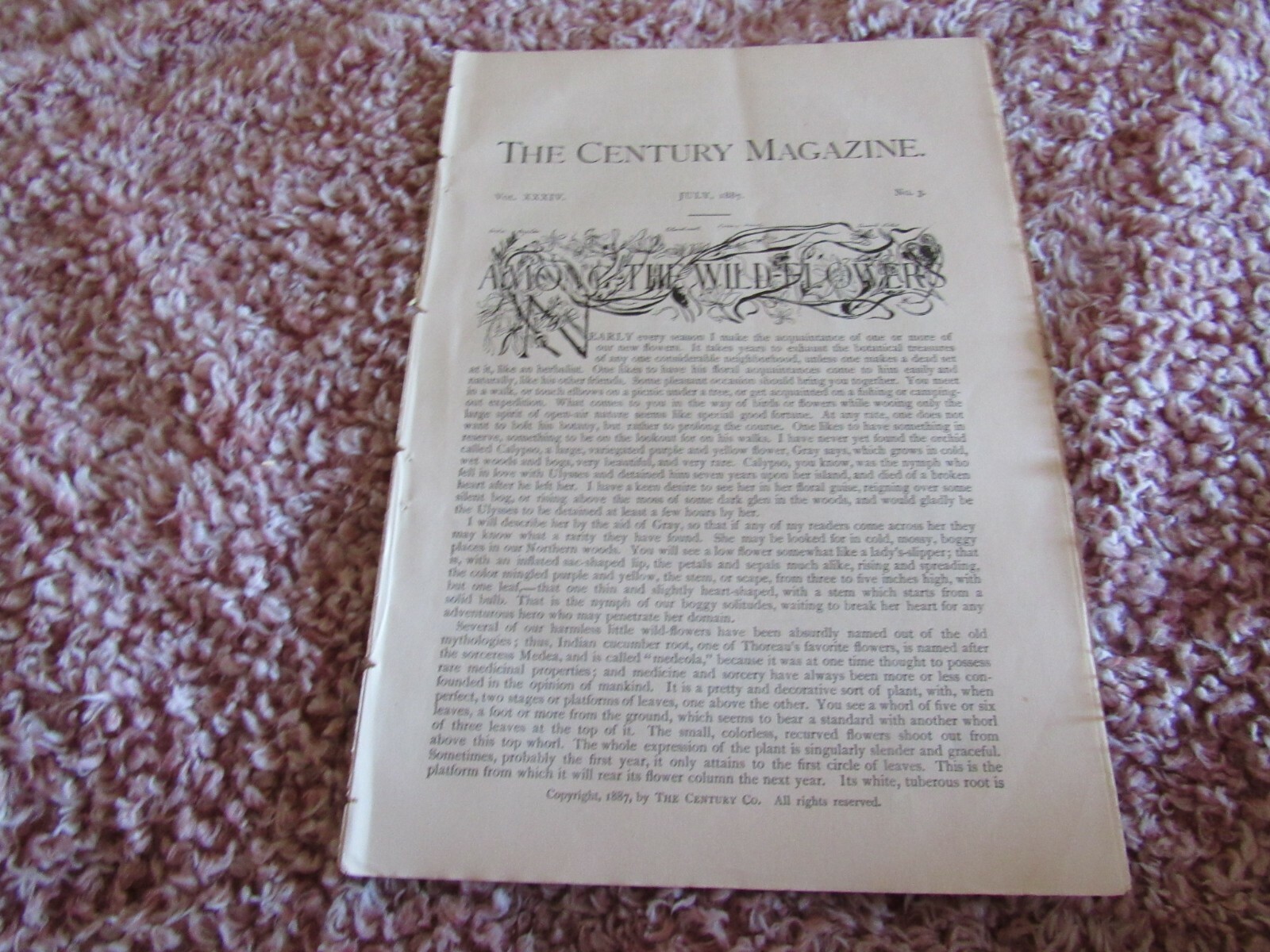 Antique Article-Illustrated-1887-1880’s-Among the Wildflowers-John Burroughs