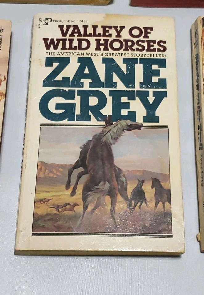 Book Lot Of 5 Vintage Zane Grey Western Novels