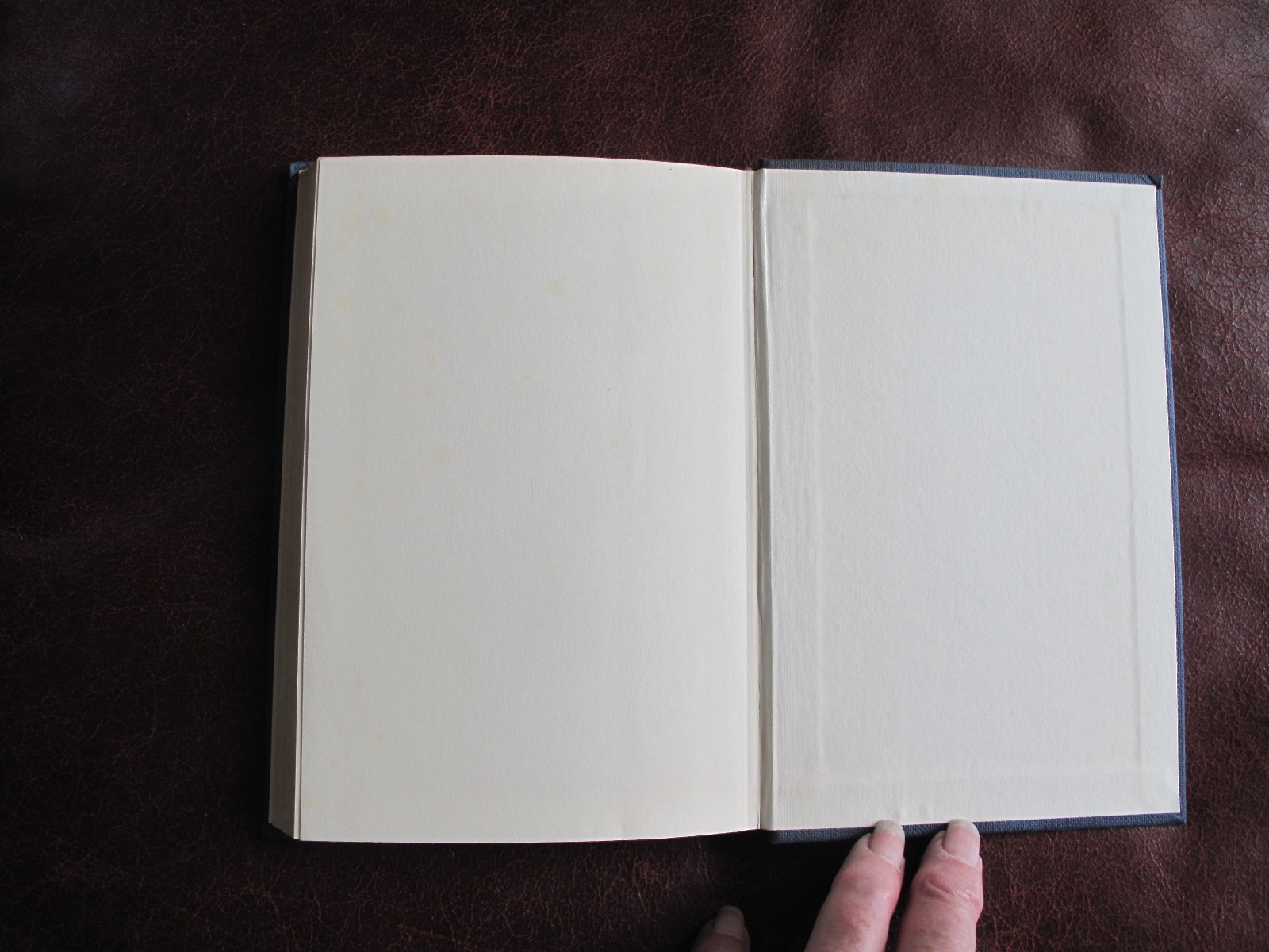 THE ACCOMPLICES – GEORGES SIMENON – 1ST UK EDITION 1966
