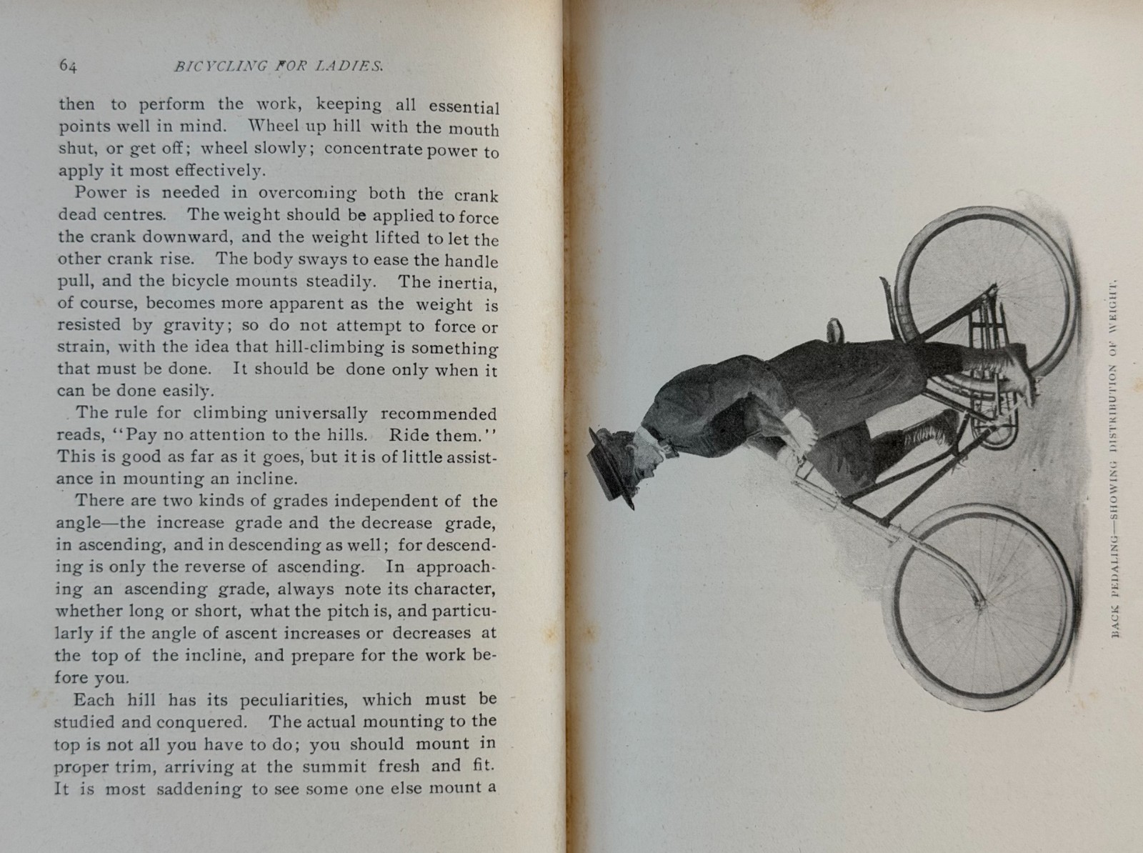 1896 Bicycling For Ladies Maria Ward 1st Ed. Alice Austen Bicycle Cycling ~ RARE
