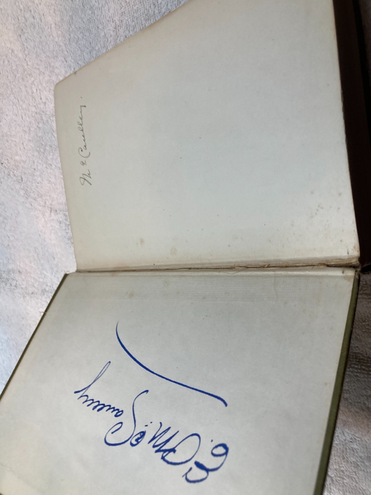 The Rose With A Thorn, Priscilla Craven – Olive Canvas Hardcover – Distressed