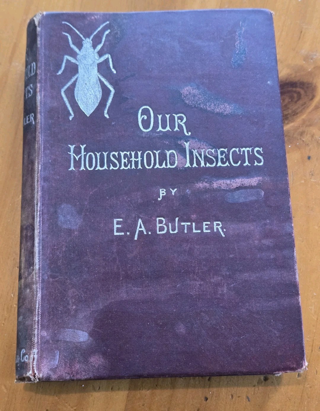 Our Household Insects Antique Hardcover Book By E. A. Butler New Edition 1896