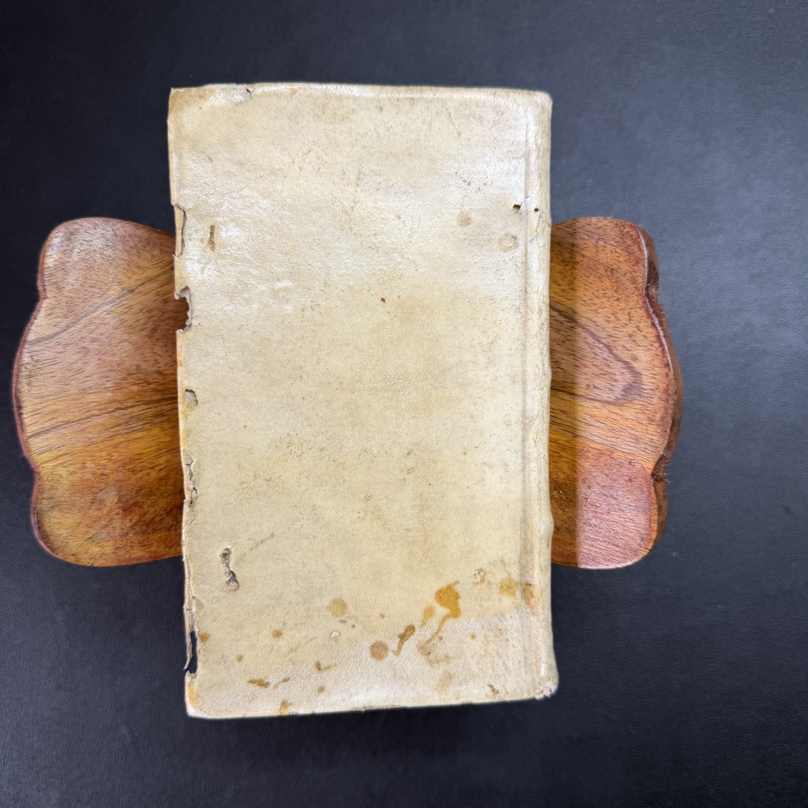 1619 Reifenberg Monita Politica & Satyricon Latin Vellum 1st Ed