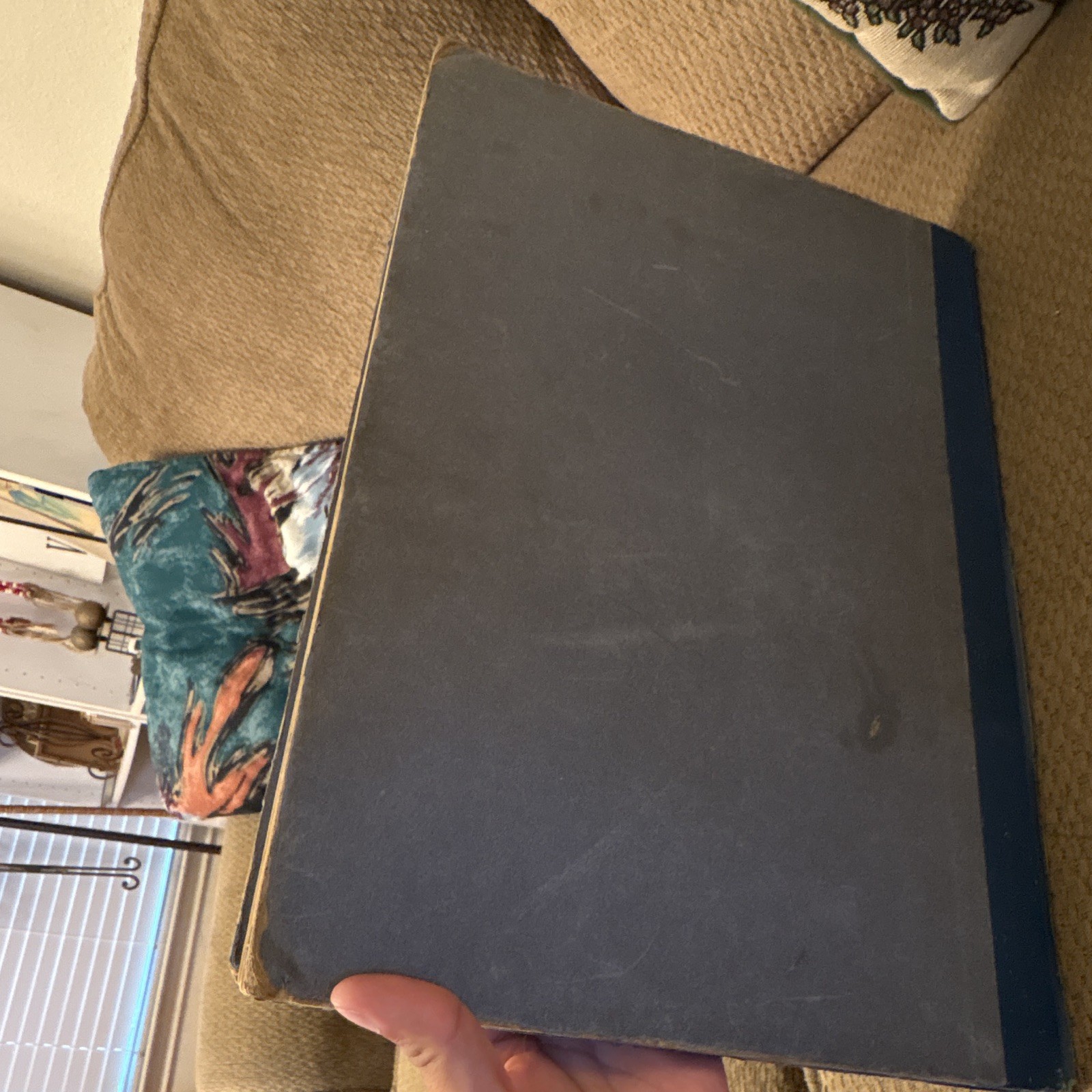 RAREManly Hall The Phoenix Limited Illustrated Hardcover 1931 Los Angeles