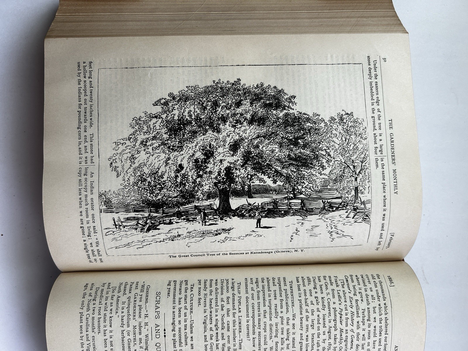 1884 – 86 The Gardeners’ Monthly & Horticulturist Thomas Meehan 23 Issues Bound