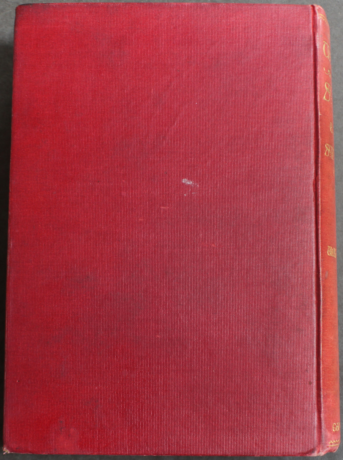 Rare Antique Old Book St. Mark’s Church Venice 1898 Illustrated Italy Europe ⭐️