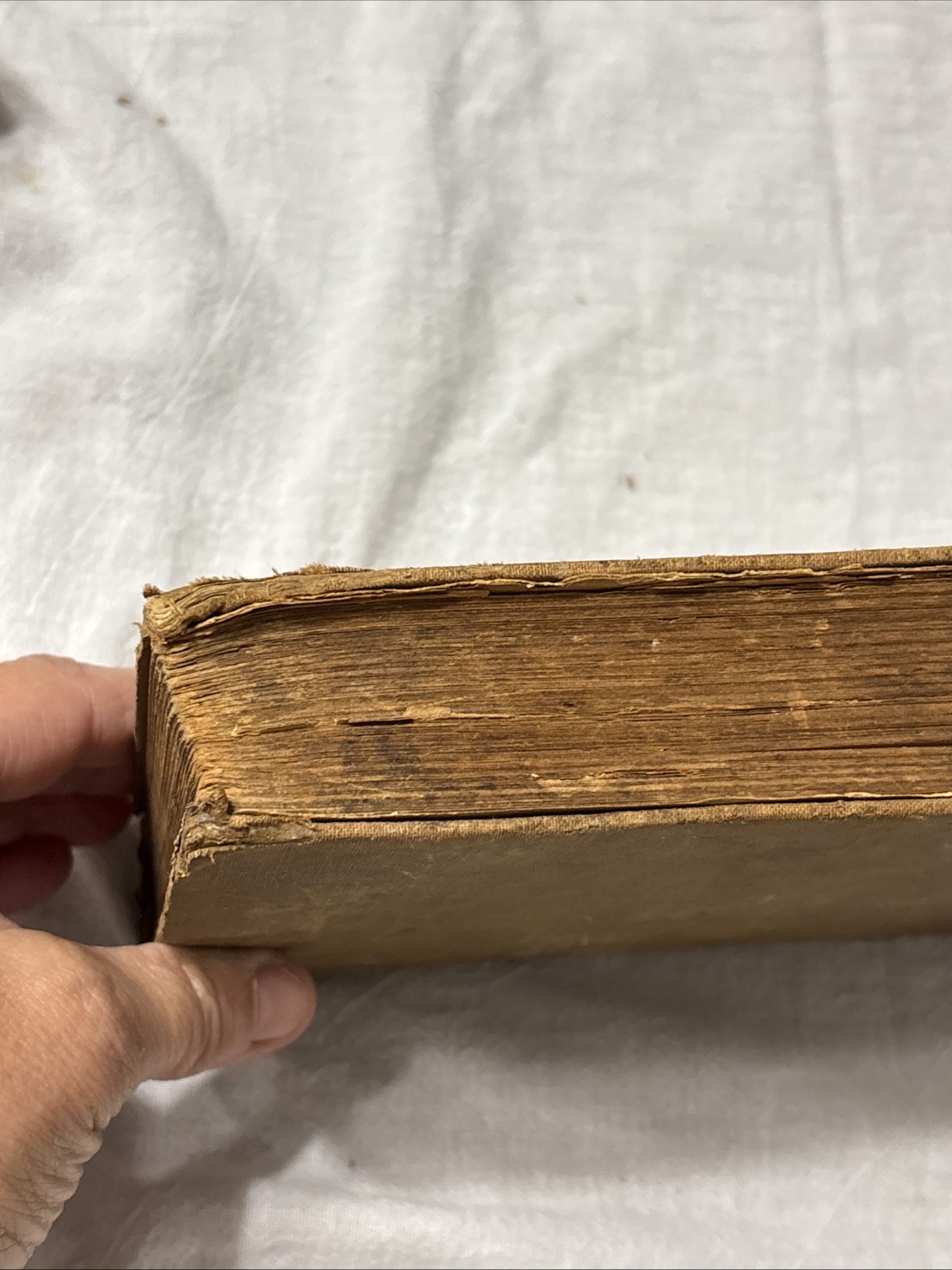 1892 Antique Cook Book Everyday Cookbook Illustrated Miss E Neil