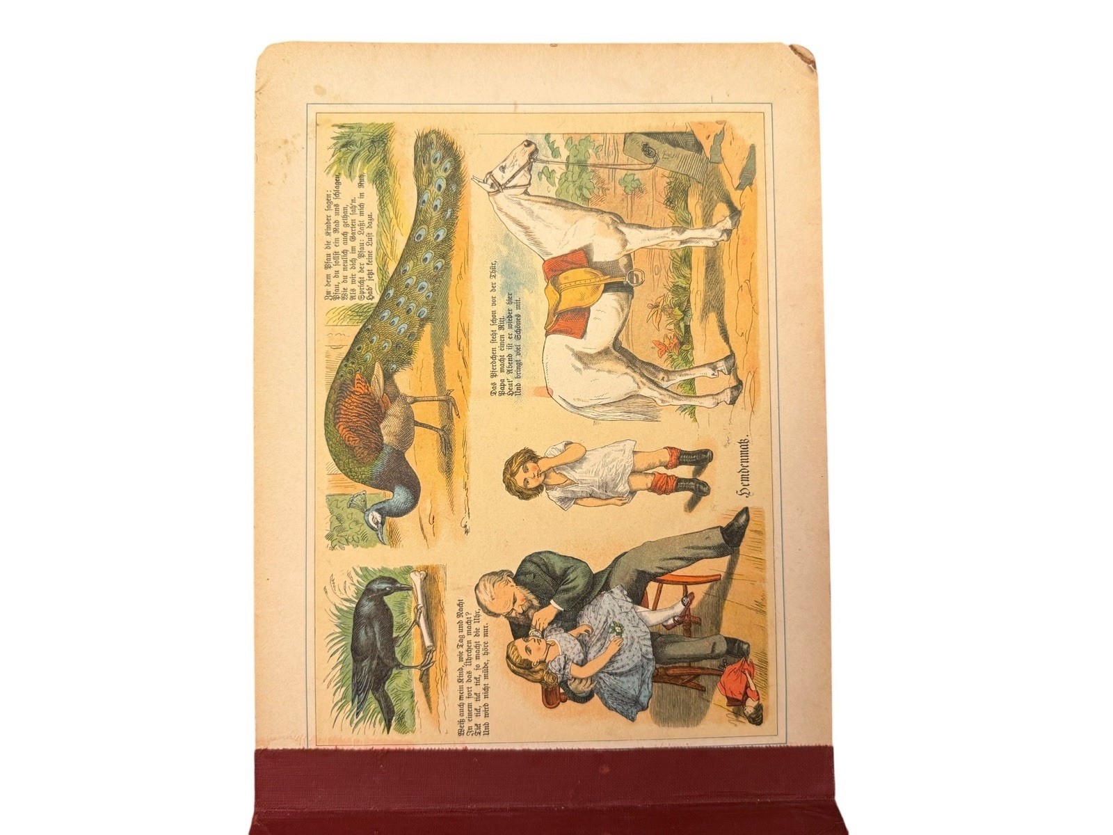Antique German Board Book Chromolithograph 1900s