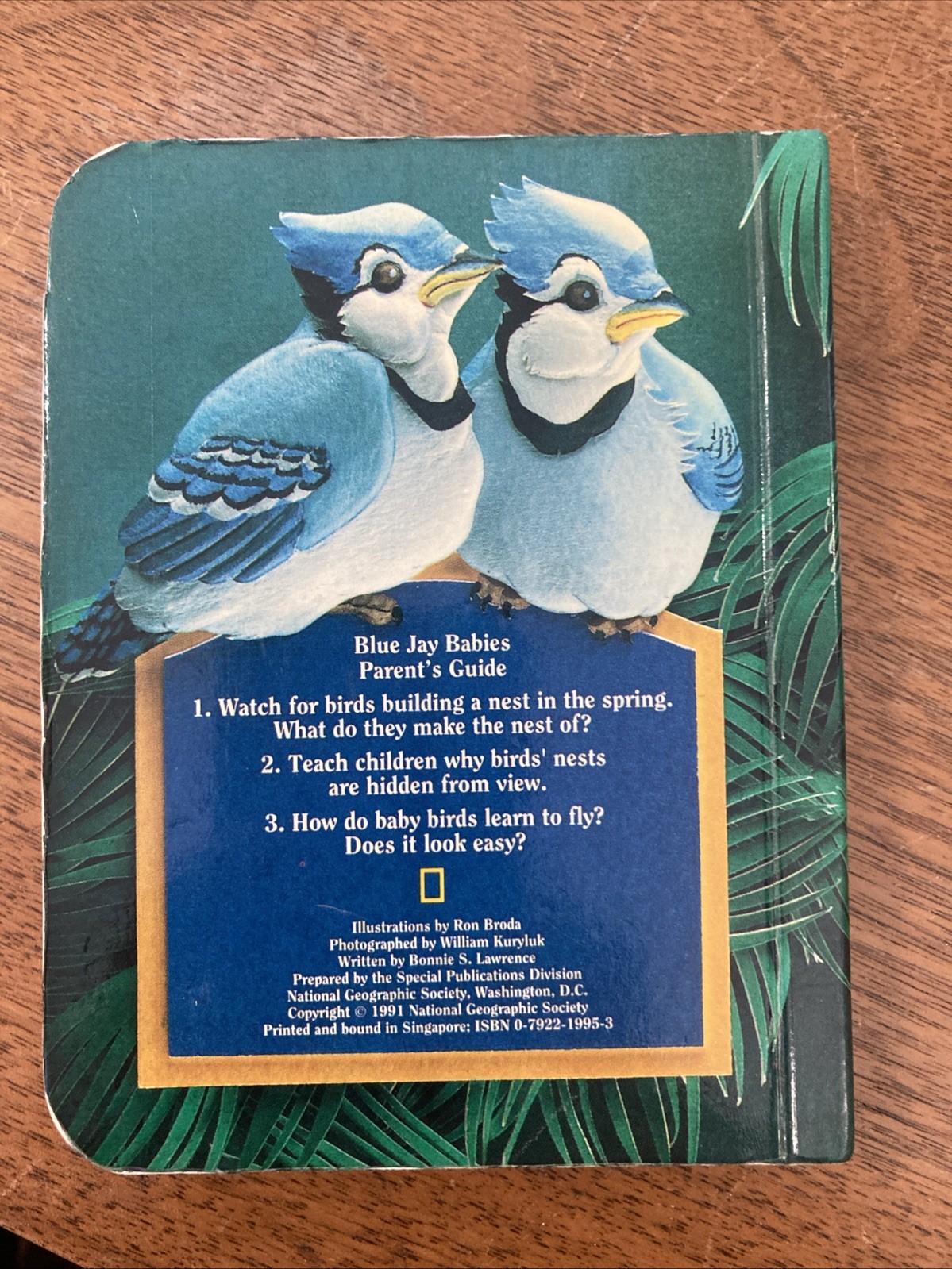 Blue Jay Babies Vintage Children’s Board Book National Geographic 1991