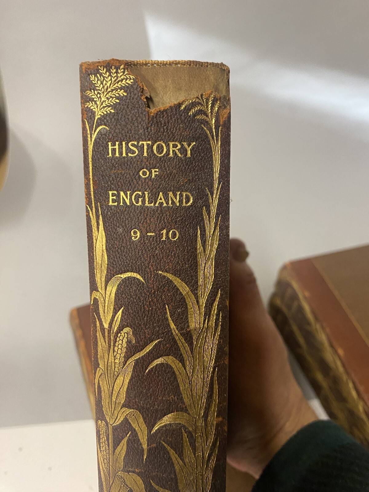 RARE 2 Sets 1898 Miscellaneous Works & The History of England Macaulay 372/1000