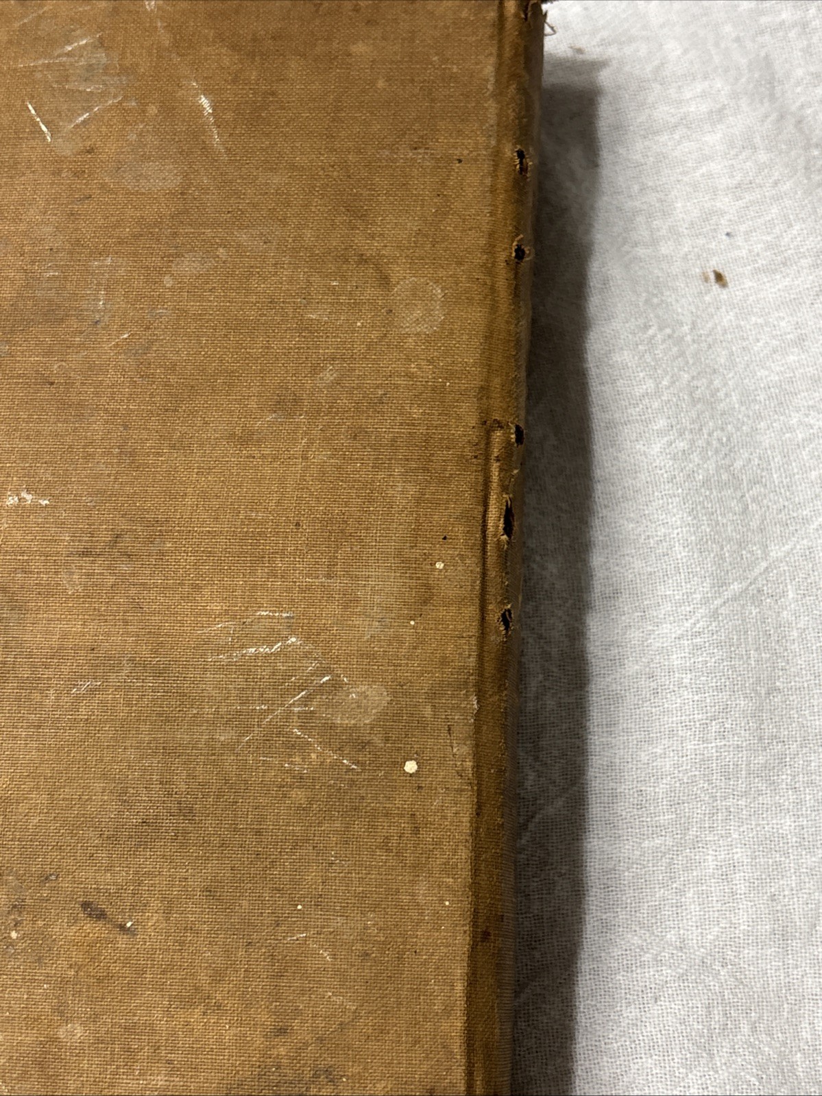 1892 Antique Cook Book Everyday Cookbook Illustrated Miss E Neil