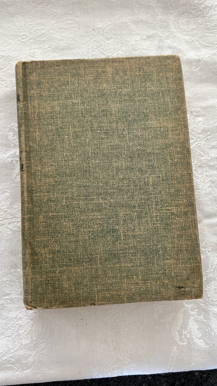 Jeanette Stratton-Porter Meehan Freckles Comes Home Hardcover 1929