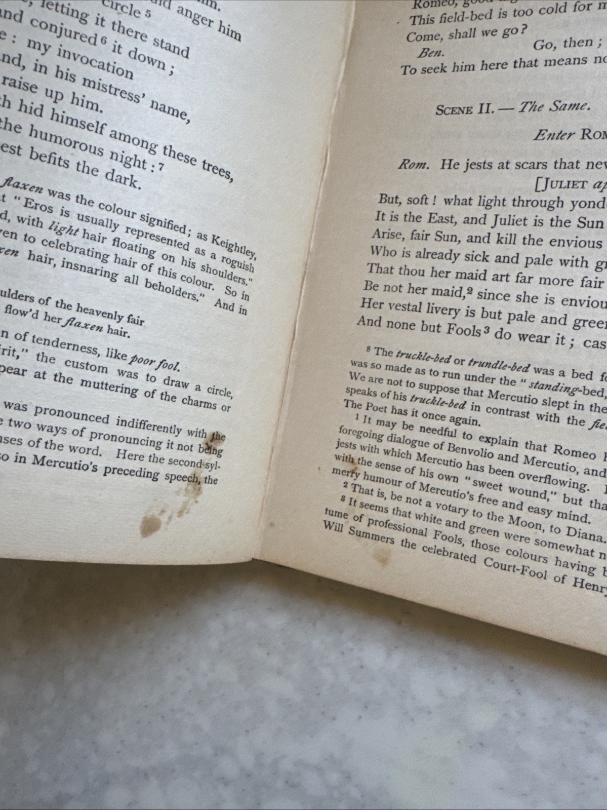 1881 Shakespeare’s King Romeo & Juliet Henry Hudson Hardcover Collectible VTG