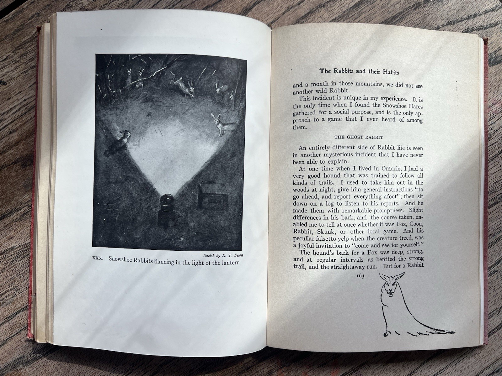 1913 Classic ‘ Wild Animals at Home’ by Ernest Thompson Seton