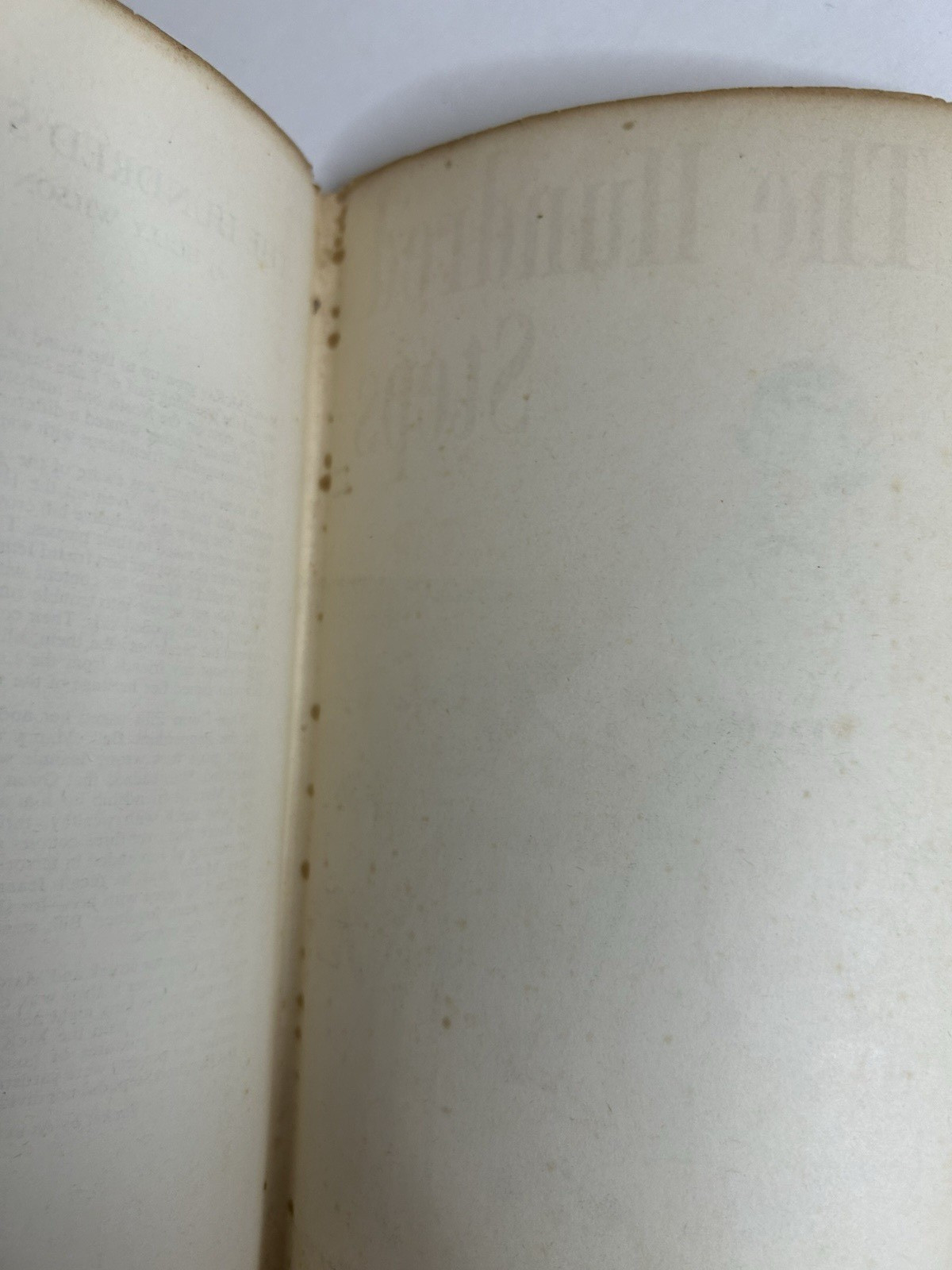 The Hundred Steps by Holly Wilson 1958, Hardcover w/ Dustjacket